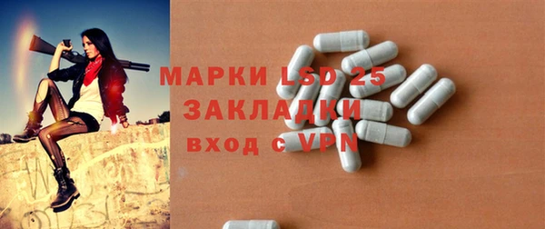 ECSTASY Алзамай