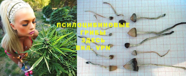 экстази Алексеевка