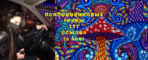 ECSTASY Алзамай