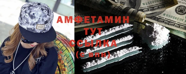 ECSTASY Алзамай