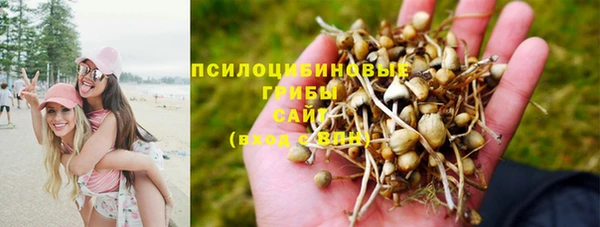 амф Алексин