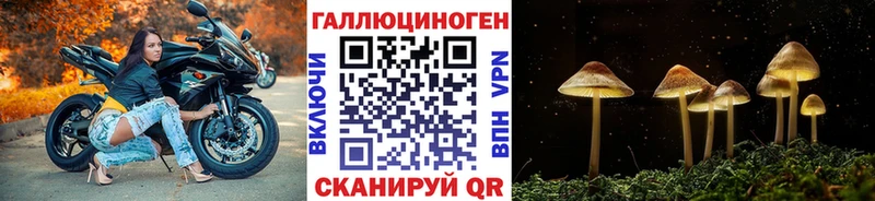 даркнет сайт  Хвалынск  Галлюциногенные грибы MAGIC MUSHROOMS 